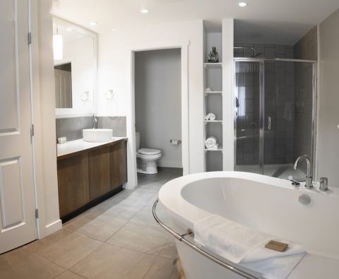 Mountain spirit bathroom pano 480x395