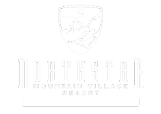 Northstar white logo