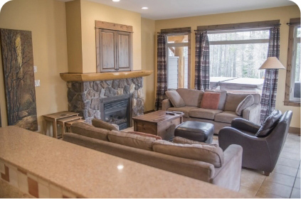 Ns mountain village living room