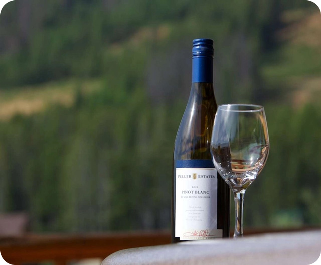 Bottle of wine and glass